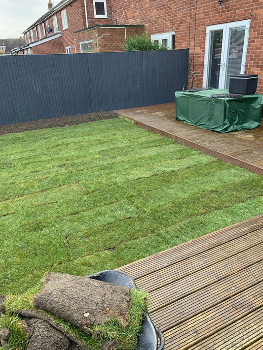 Why Tree Care is Essential for a Beautiful and Safe Outdoor Space